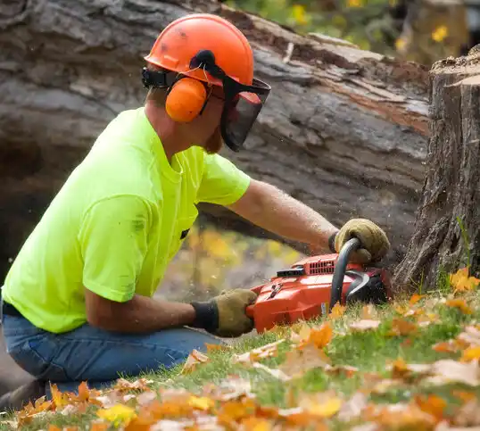 tree services Northwest